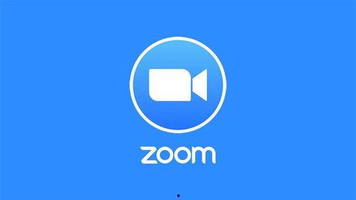 zoom视频