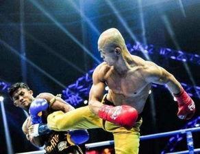 播求踢断香蕉树视频