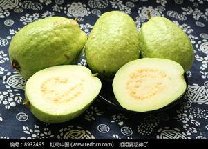 番石榴视频下载,轻松获取精彩内容