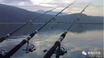 海竿串钩钓鱼视频