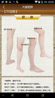 瘦小腿肚视频,跟拜拜肉说拜拜！