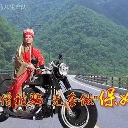 自贡马儿生产队视频,探寻传统农耕文化的魅力与传承