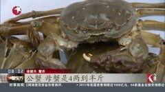 抓大闸蟹视频,大闸蟹捕捞瞬间,尽收眼底